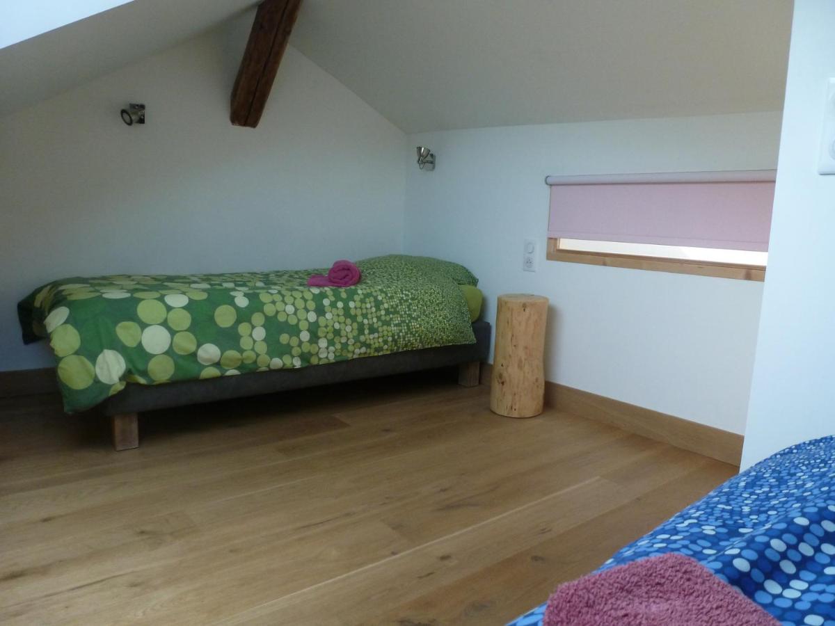 Au Cheval Blanc - Appartements Et Chambres D'Hotes Albertville Exterior photo