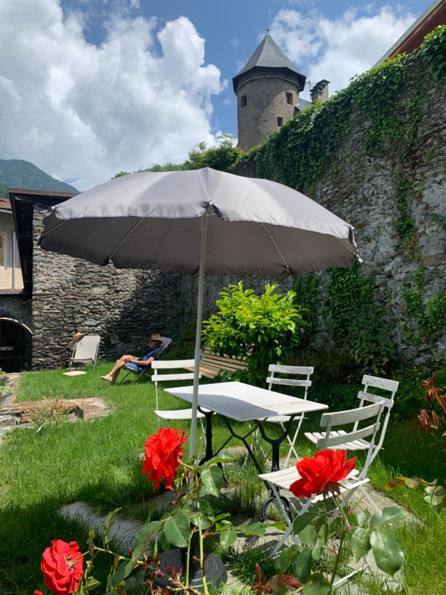 Au Cheval Blanc - Appartements Et Chambres D'Hotes Albertville Exterior photo